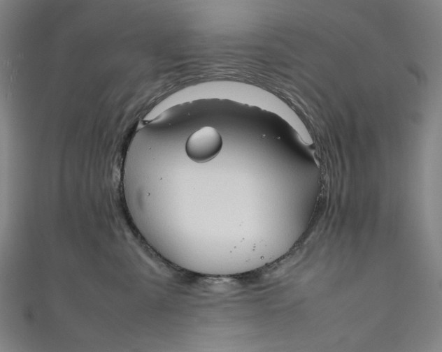 X0000111190427200907221113