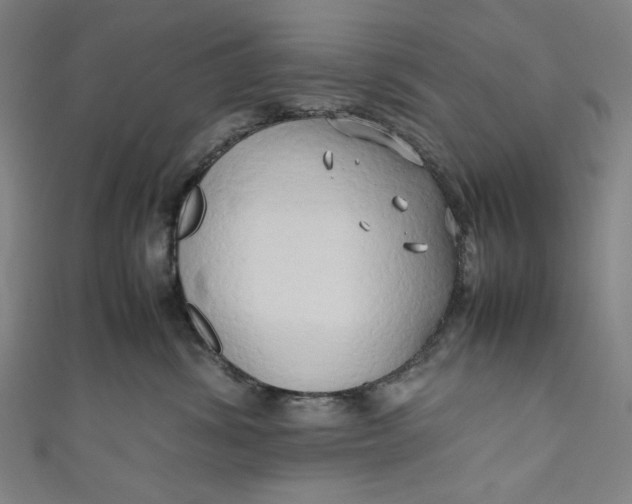 X0000111190428200907221113