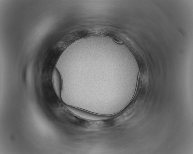 X0000111190429200907221113