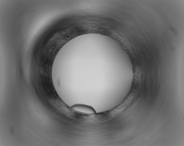 X0000111190430200907221113