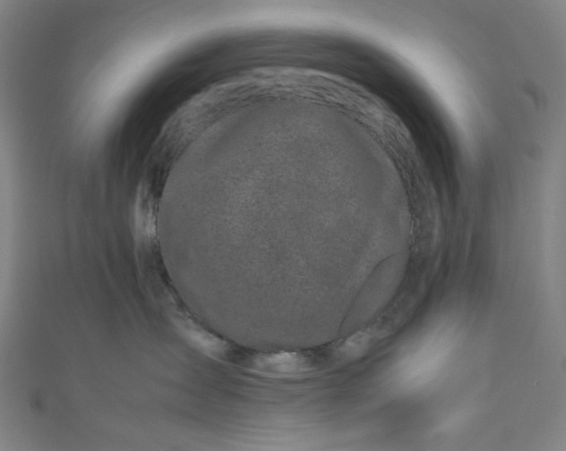 X0000111190431200907221113