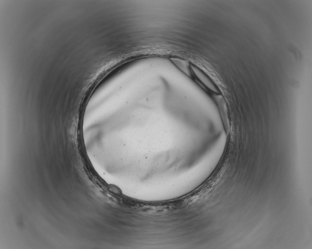 X0000111190434200907221112