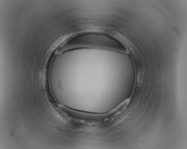 X0000111190436200907221112