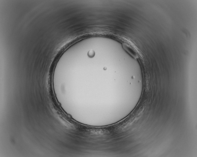 X0000111190439200907221112