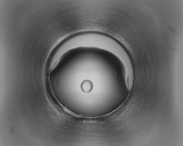 X0000111190440200907221112