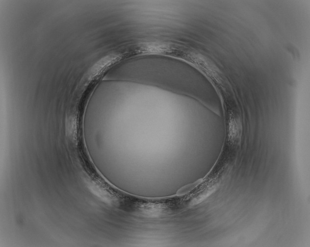 X0000111190444200907221112