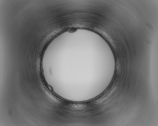 X0000111190445200907221112