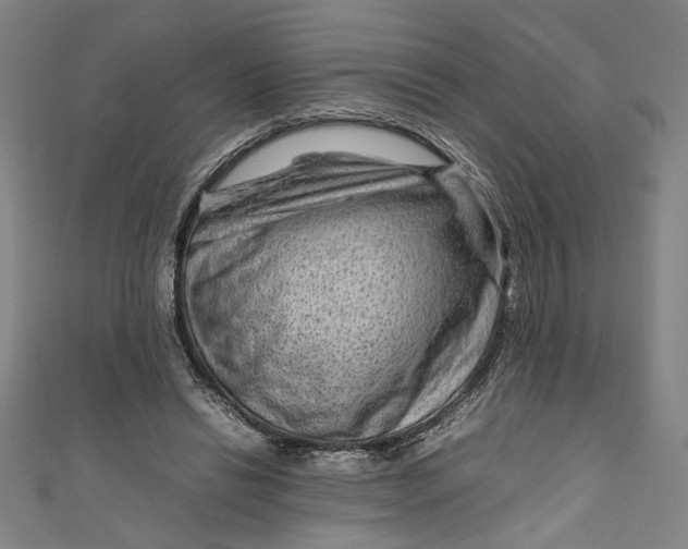 X0000111190446200907221112