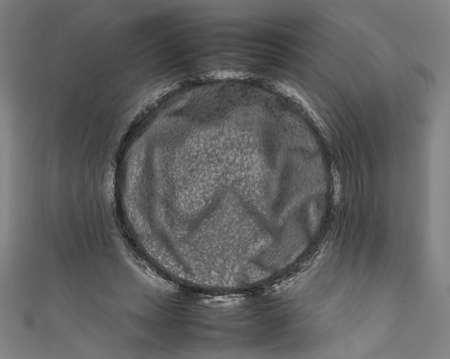 X0000111190447200907221112