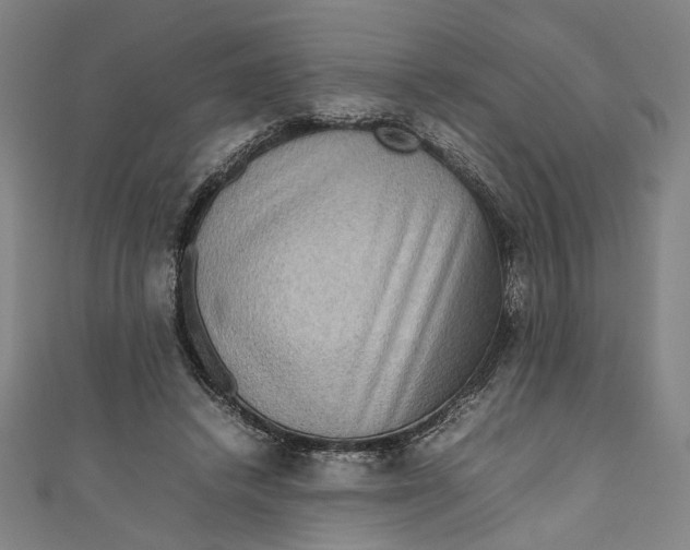 X0000111190448200907221112