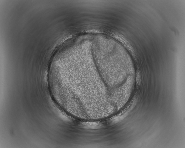 X0000111190449200907221112