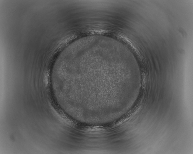 X0000111190451200907221112