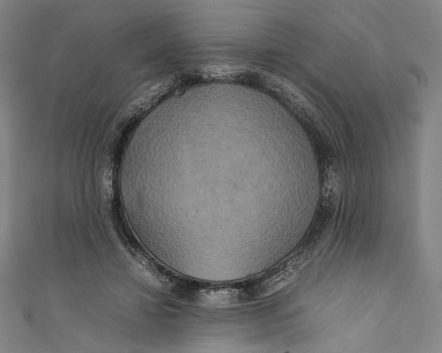 X0000111190452200907221112