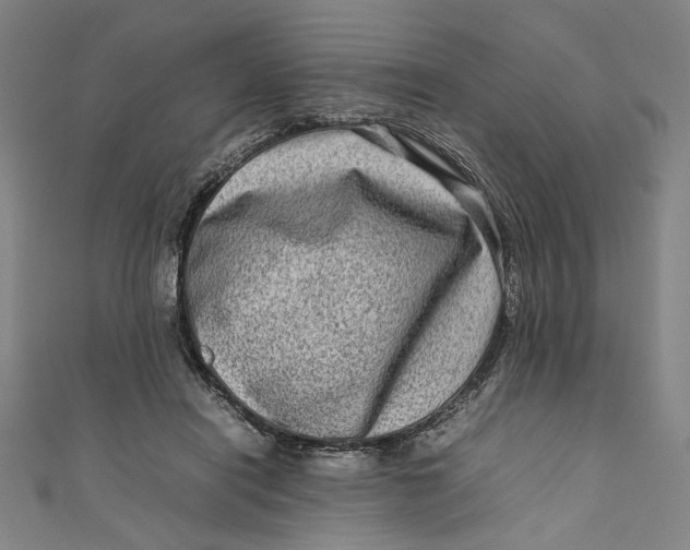 X0000111190454200907221113