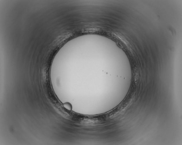 X0000111190455200907221113