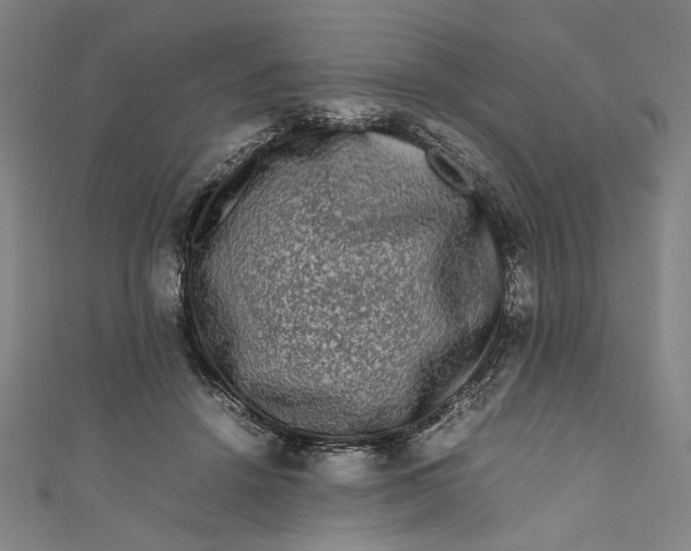 X0000111190456200907221113