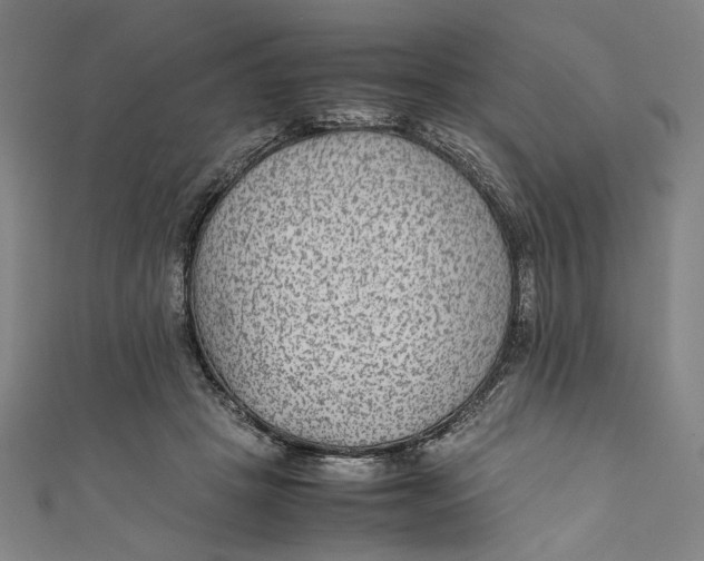 X0000111190457200907221113