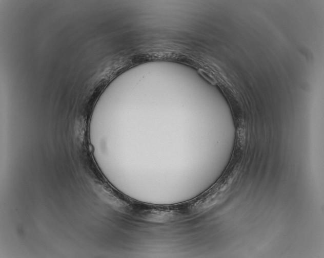 X0000111190458200907221113