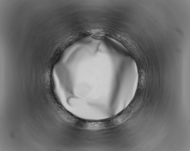 X0000111190461200907221113