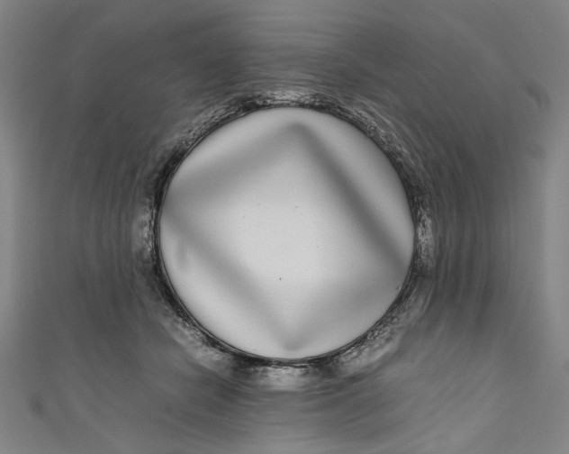 X0000111190462200907221113