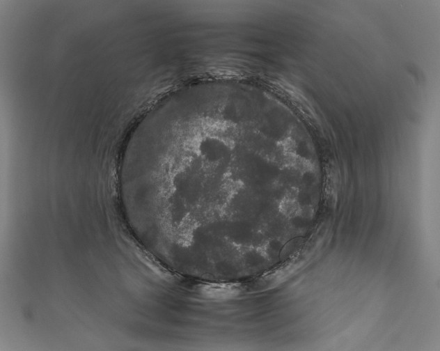 X0000111190465200907221113