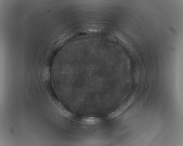 X0000111190467200907221113