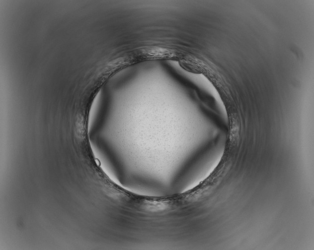 X0000111190469200907221113