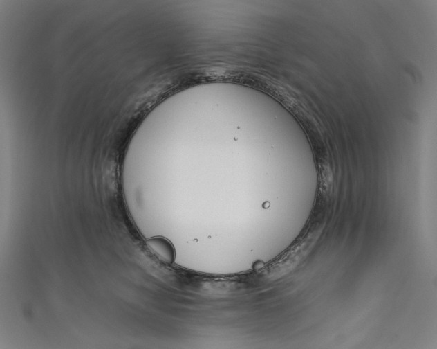 X0000111190470200907221113