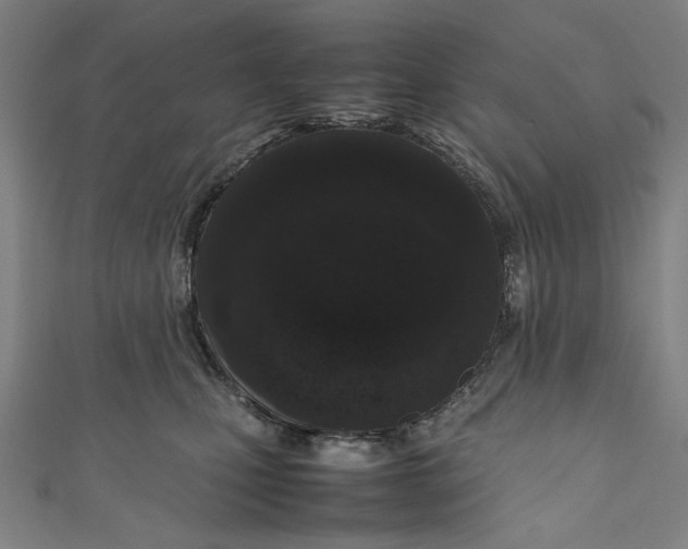 X0000111190471200907221113