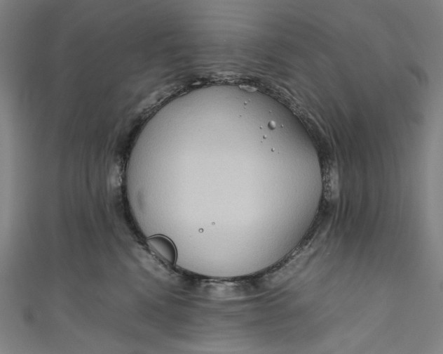 X0000111190472200907221113