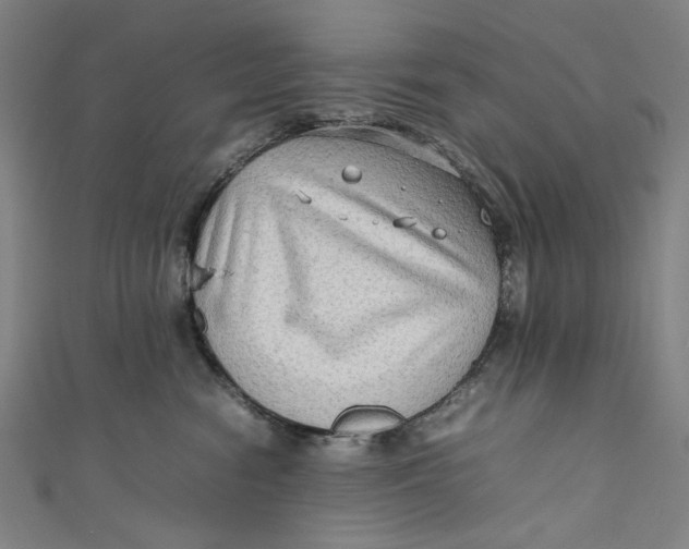 X0000111190474200907221113