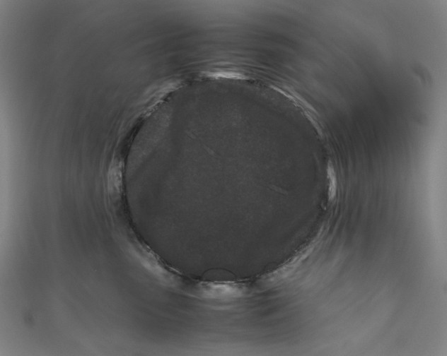 X0000111190475200907221113