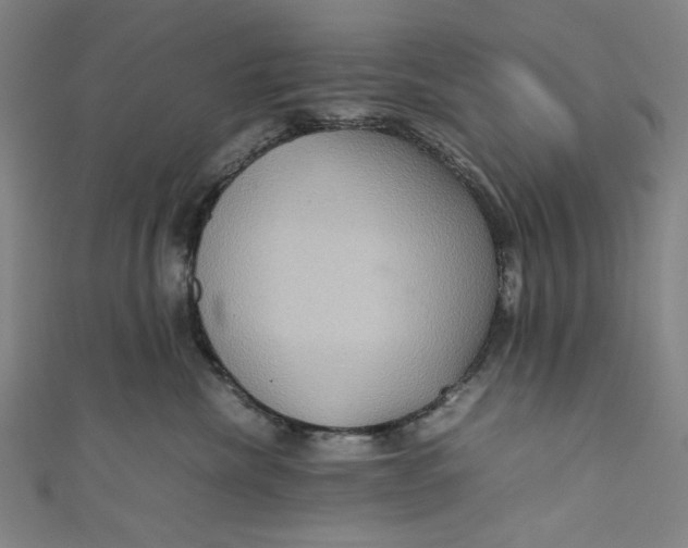 X0000111190476200907221113