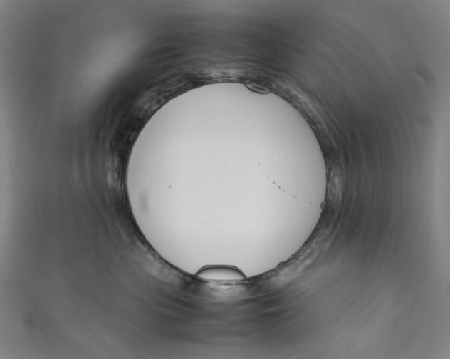 X0000111190477200907221113