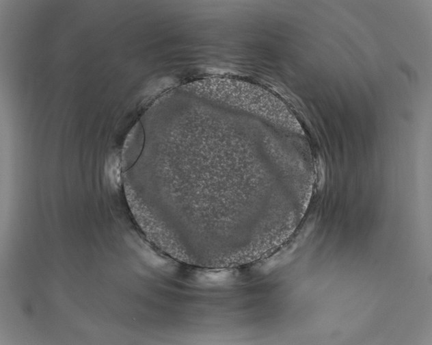 X0000111190479200907221113