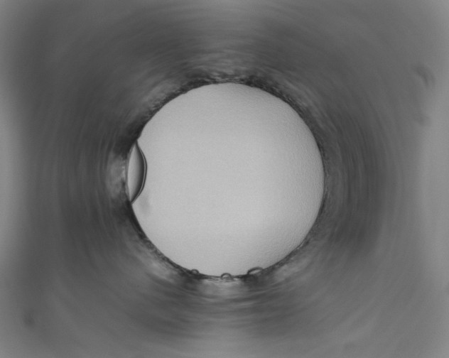 X0000111190480200907221113