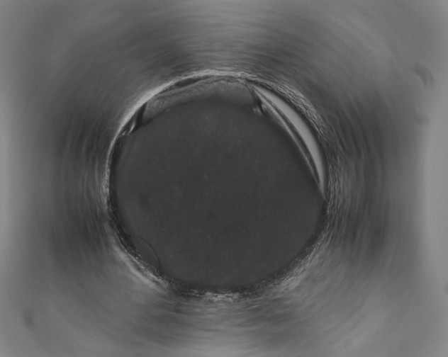 X0000111190484200907221112