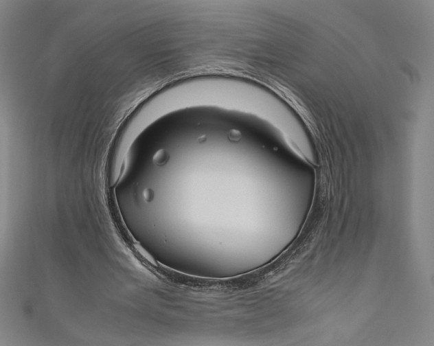 X0000111190485200907221112