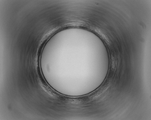 X0000111190486200907221112