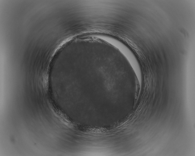 X0000111190488200907221112