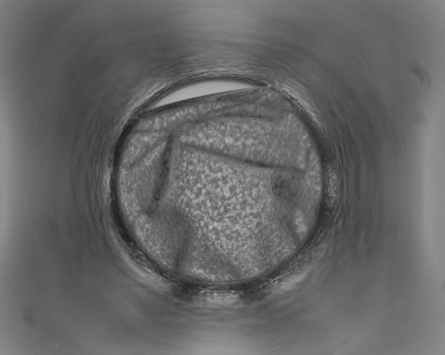 X0000111190491200907221112