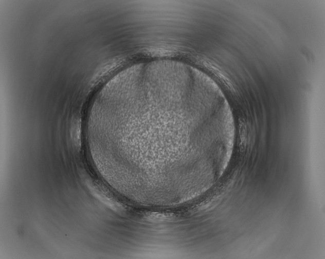 X0000111190494200907221112