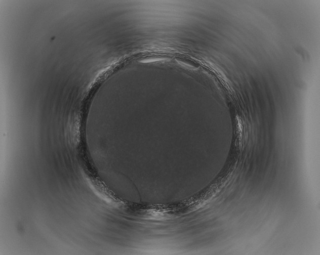 X0000111190496200907221112