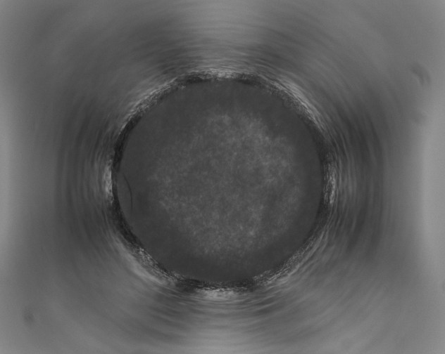 X0000111190500200907221112