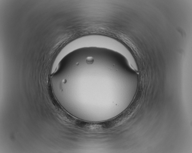 X0000111190501200907221112