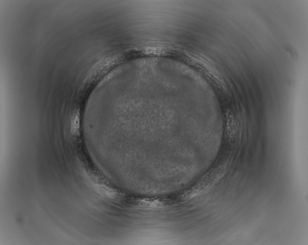 X0000111190502200907221112