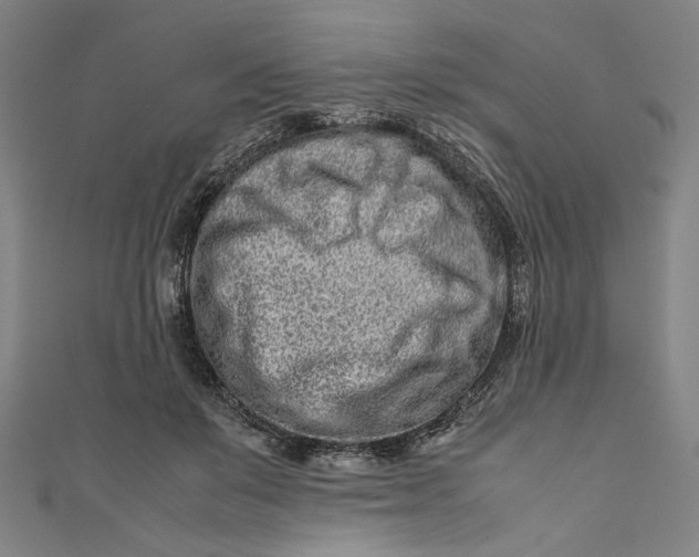 X0000111190503200907221112