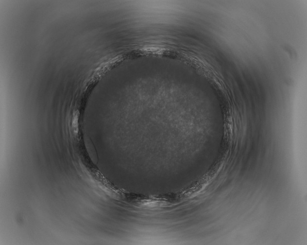 X0000111190504200907221112