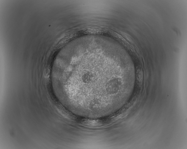 X0000111190507200907221112