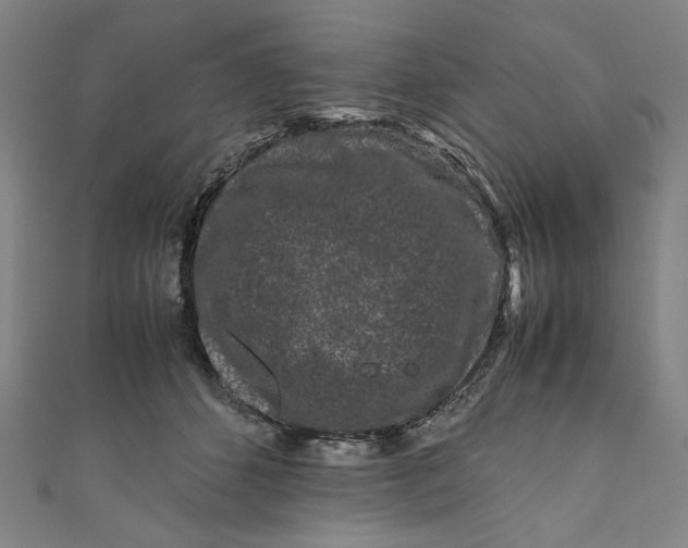 X0000111190512200907221112